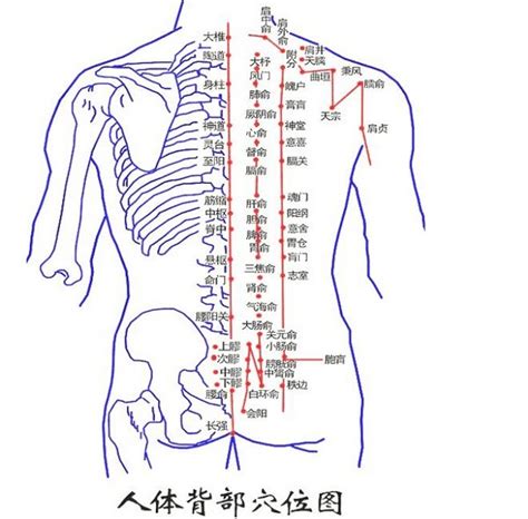 背後有痣|背部有痣图解大全 背部有痣的人看命运